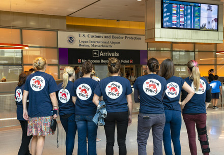 FOUR PAWS staff waiting at Logan Airport in Boston